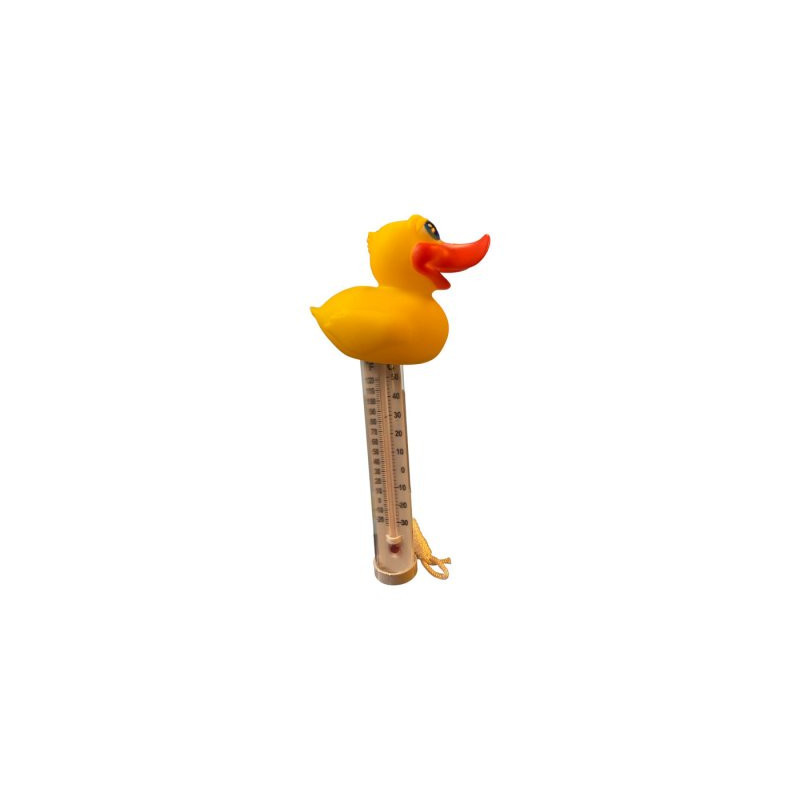 Pool-spa termometer anka