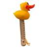 Pool-spa termometer anka