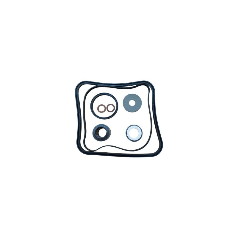 GO KIT 3 SUPER PUMP HAYWARD spx1600gs