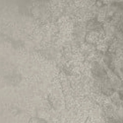 Ljusgrå pärlemo liner