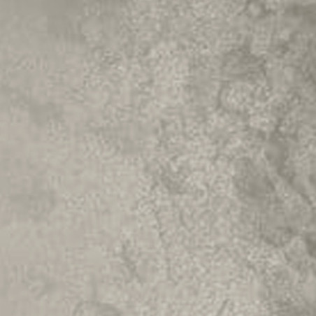 Ljusgrå pärlemo liner