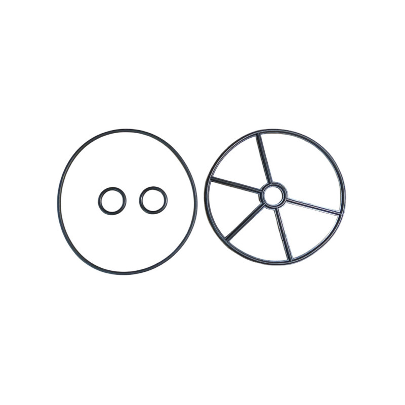 AstralPool 1½" Classic-packningssats