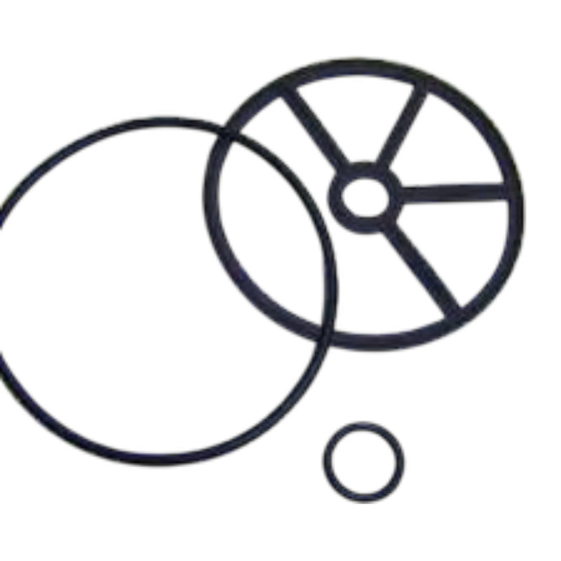 AstralPool Classic-packningssats 4404121803