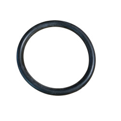 O ring 4405010437